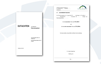 Gutachten